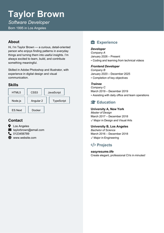 Soft Gray Sidebar resume template preview