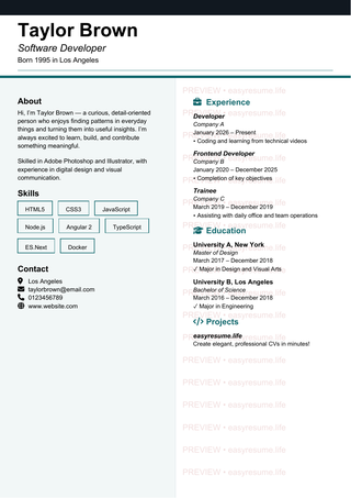 Dark Ledger Professional resume template preview
