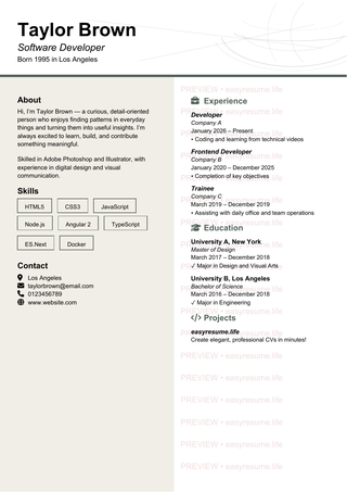 Contour Clean resume template preview