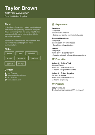 Olive Technical resume template preview