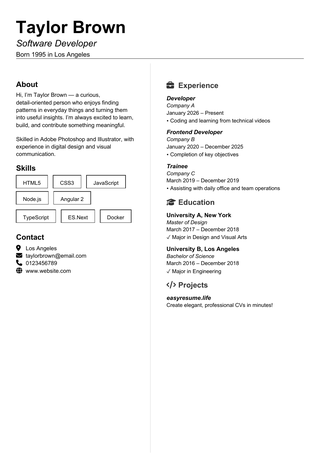 Dense ATS Clean resume template preview
